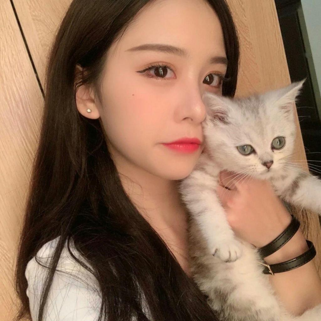 半岛官网入口网页版app下载